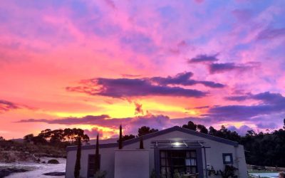 Love Affair in Napier: The Story of an Overberg Farm